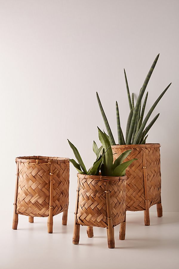 Slide View: 1: Castile Basket Planters, Set of 3
