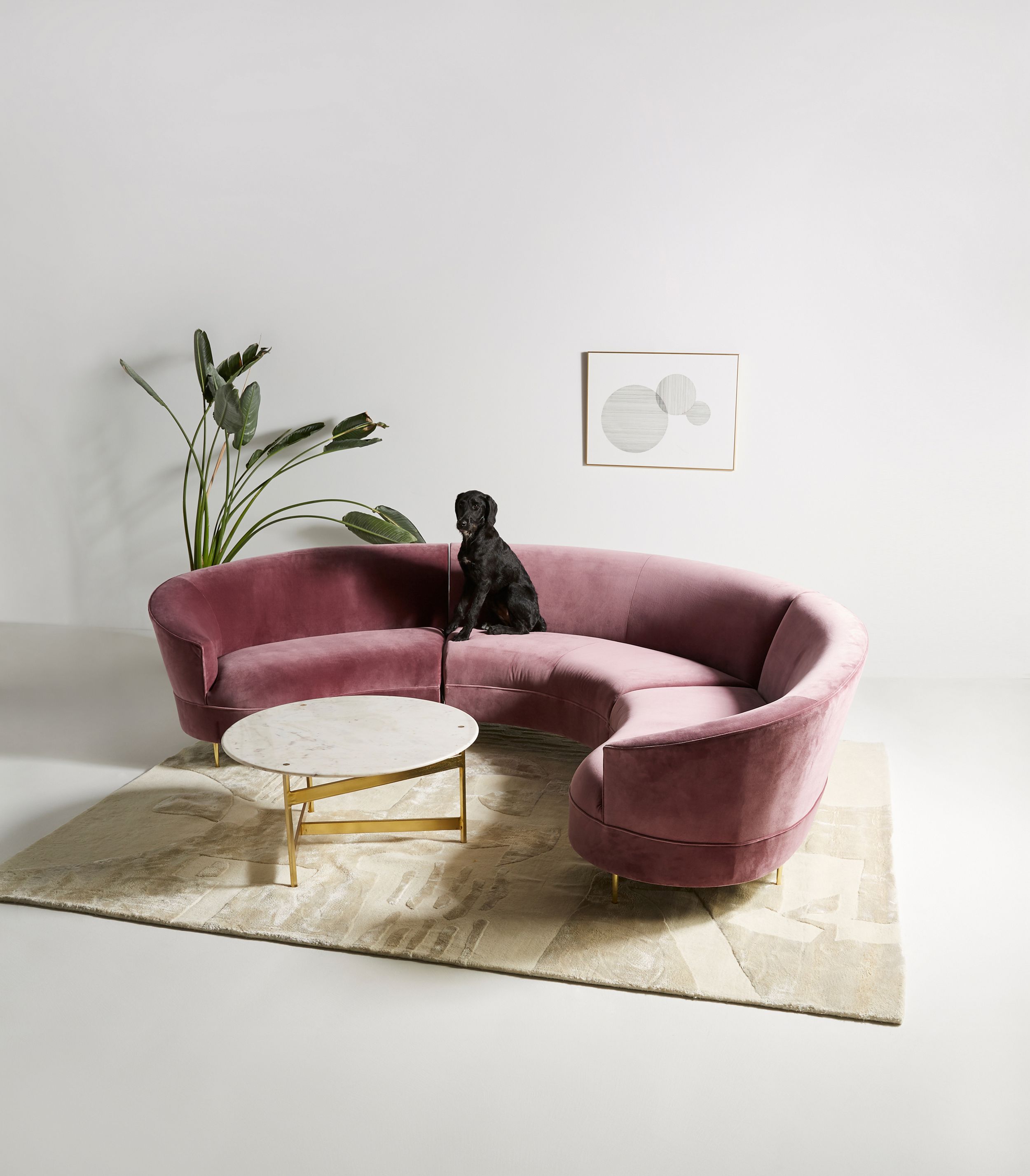 Grace Serpentine Three Piece U Shaped Sectional Anthropologie