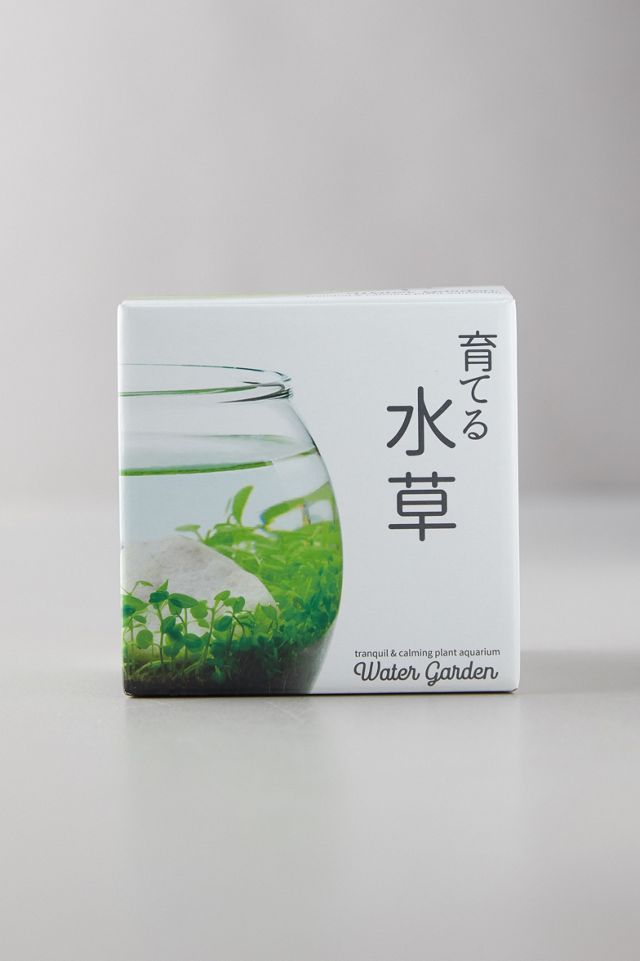Calming Water Garden Grow Kit Anthropologie