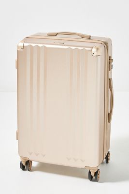 large suitcase