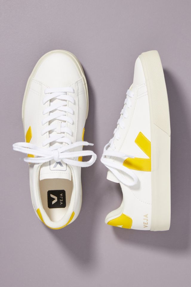 veja anthropologie