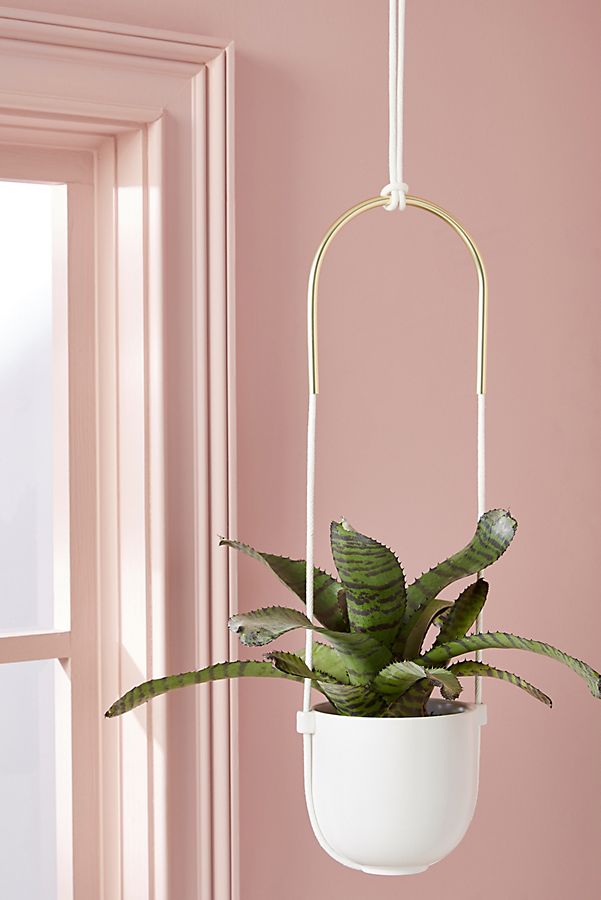 Slide View: 1: Bolo Hanging Planter