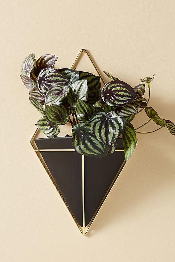 Slide View: 1: Trigg Hanging Planter