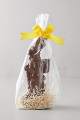 Traveling Chocolate Easter Bunny