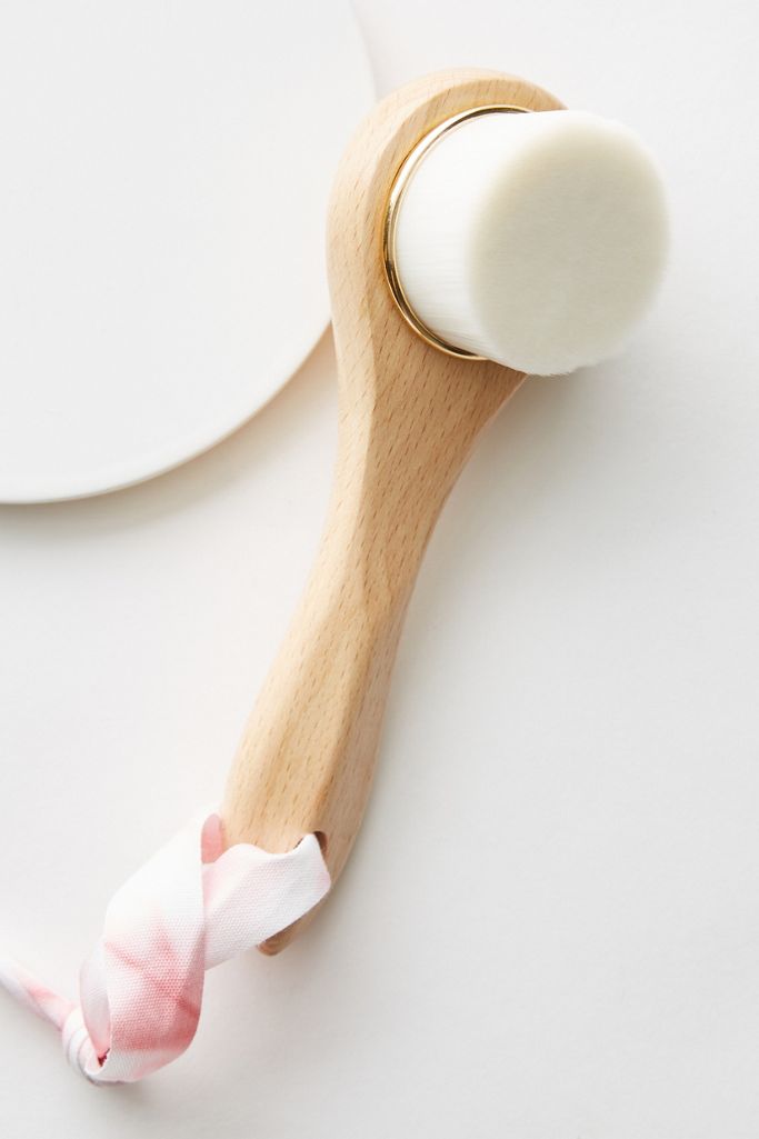 MerSea & Co. Dry Facial Brush Anthropologie