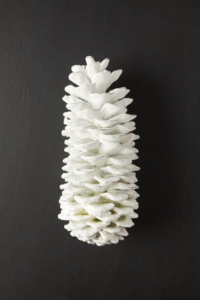 Waxed Sugar Pine Cone | Anthropologie