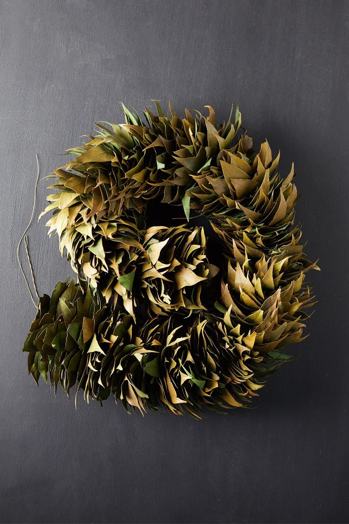 Preserved Bay Leaf Garland | Anthropologie