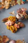 Thumbnail View 6: Gilded Botanicals Iron + Velvet Garland