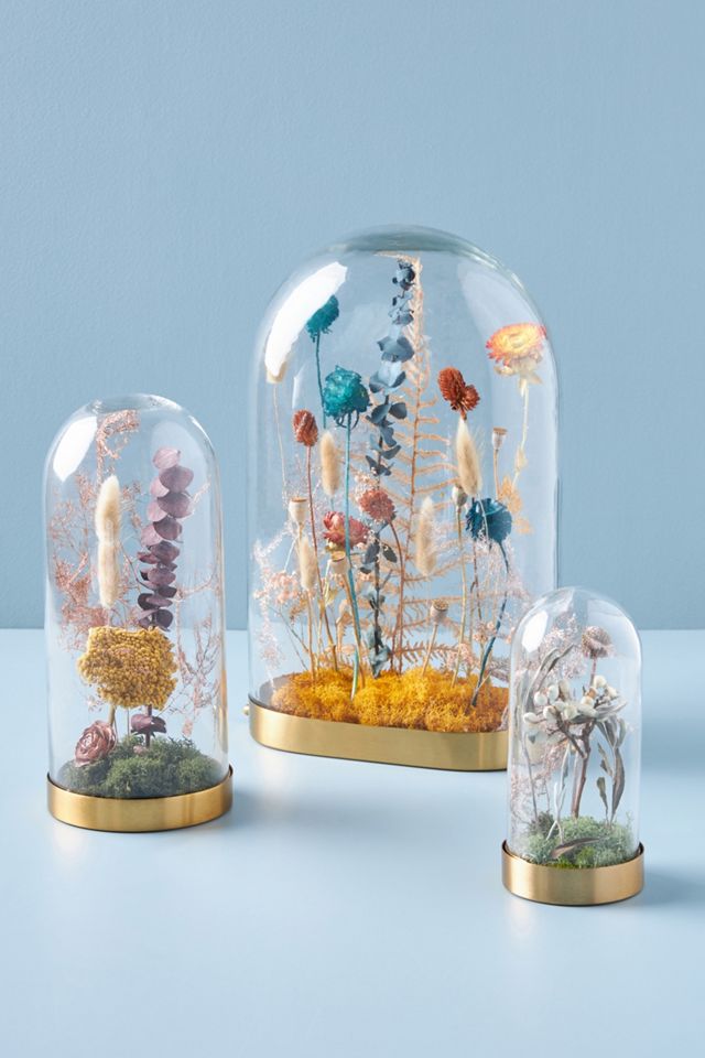 Floral Curiosity Cloche Anthropologie