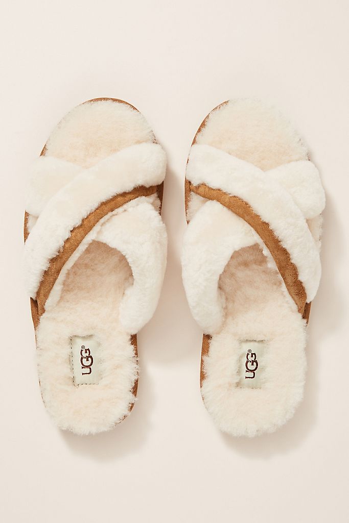 ugg abela ugg abela