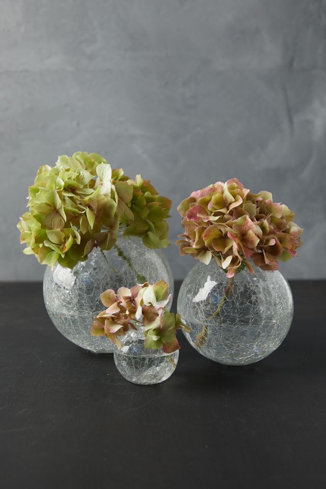 Crackle Glass Bauble Bud Vases, Set of 3 Anthropologie
