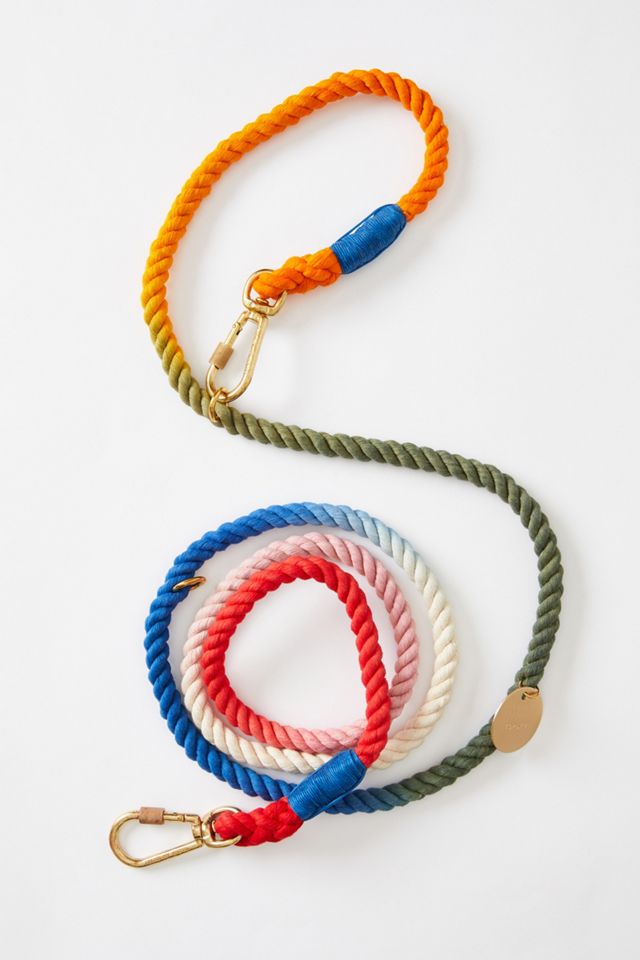 Rainbow Dog Leash Anthropologie