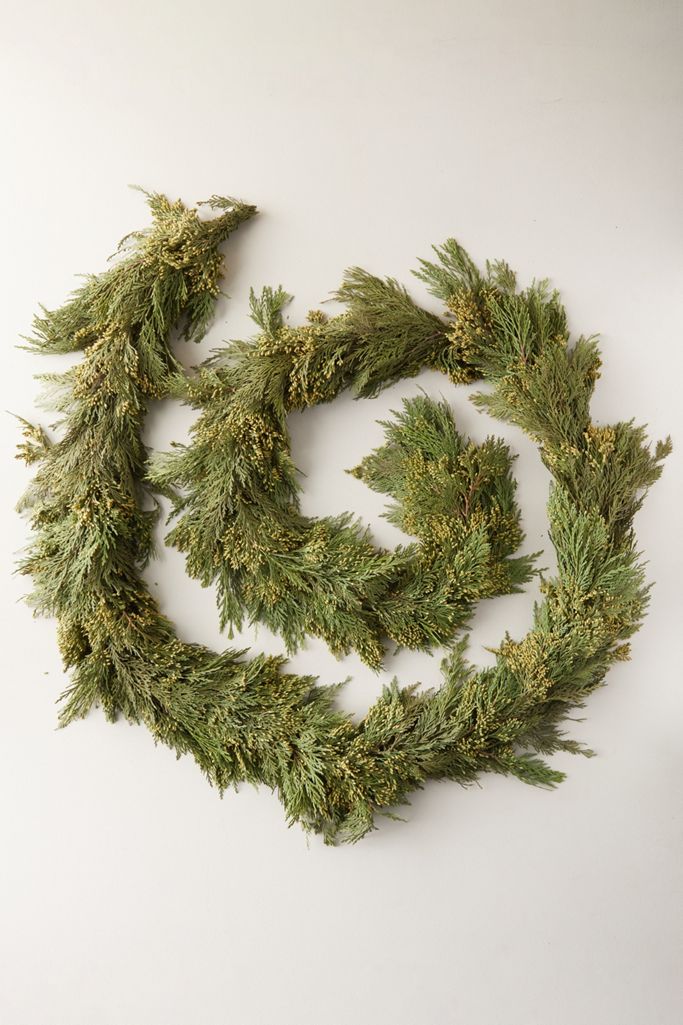 Fresh Incense Cedar Garland Anthropologie