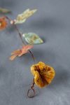 Thumbnail View 4: Gilded Botanicals Iron + Velvet Garland, Small