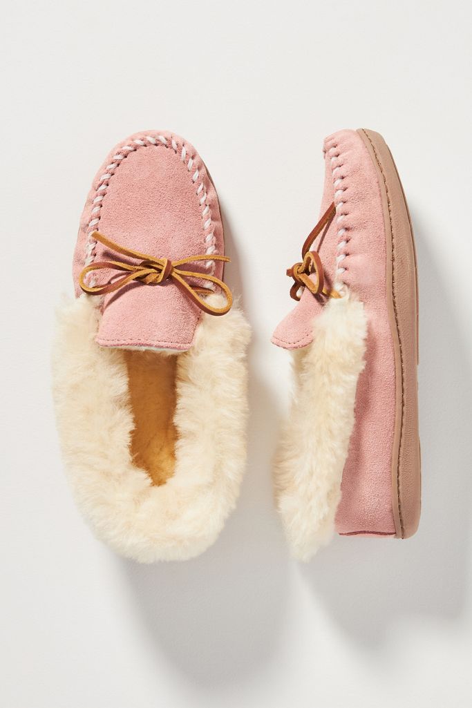 minnetonka alpine