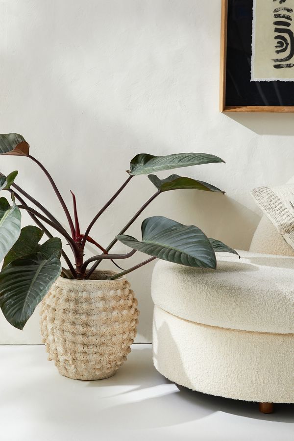 Slide View: 8: Minka Textured Pot