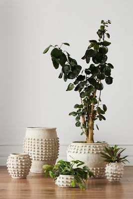 Minka Textured Pot