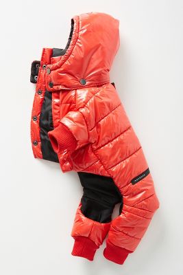 dog puffer jacket with hood