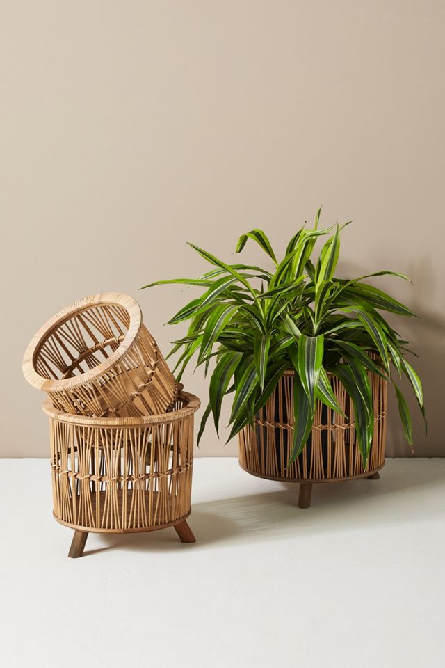 Maiki Woven Planters Set Of 3 Anthropologie