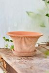 Thumbnail View 7: Bergs Daisy Terracotta Pot + Saucer Set