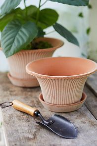 Slide View: 2: Bergs Daisy Terracotta Pot + Saucer Set