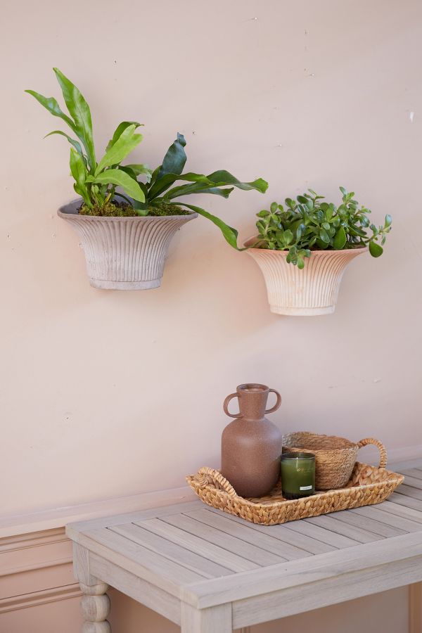 Slide View: 1: Bergs Daisy Hanging Wall Terracotta Pot