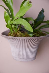 Slide View: 6: Bergs Daisy Hanging Wall Terracotta Pot