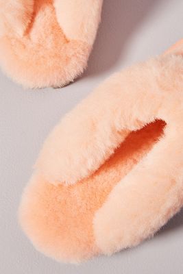 grapefruit ugg slippers