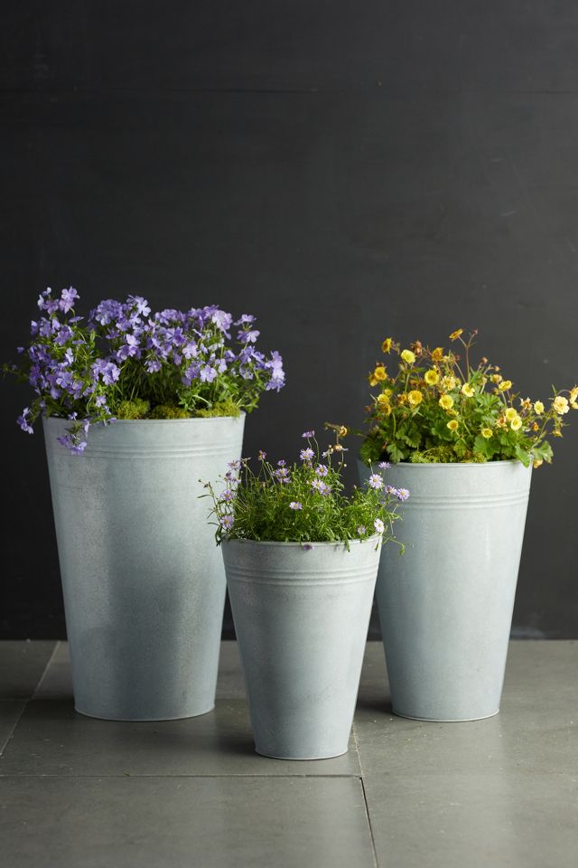 Zinc Flower Bucket, 15" Anthropologie