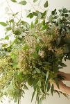 Thumbnail View 3: Fresh Assorted Eucalyptus Bunch