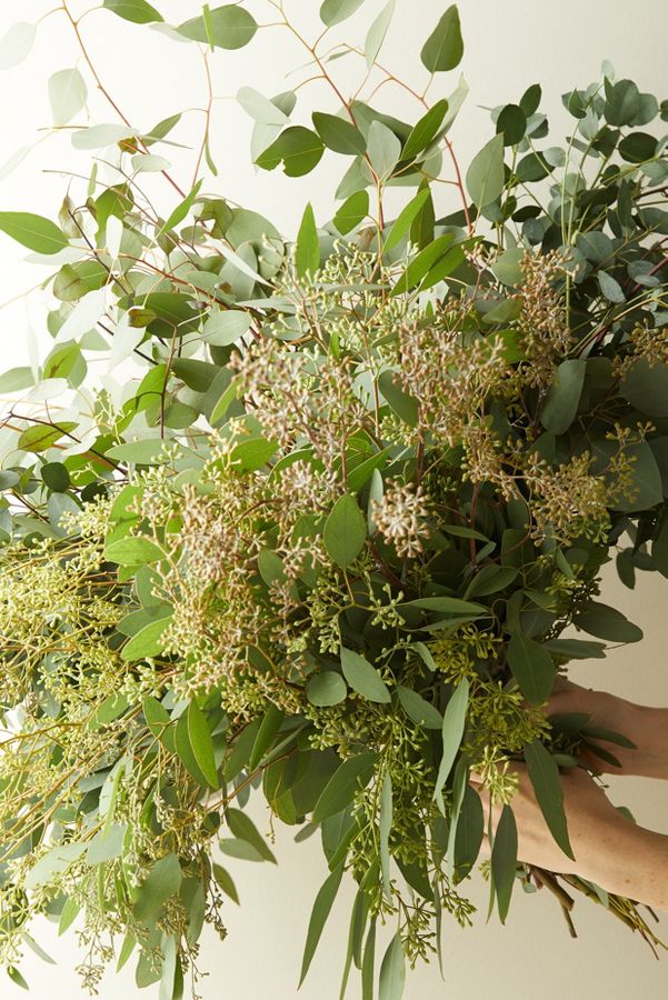 Slide View: 3: Fresh Assorted Eucalyptus Bunch