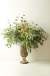 Thumbnail View 2: Fresh Assorted Eucalyptus Bunch