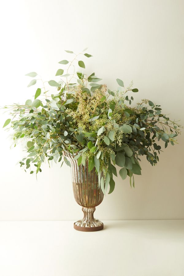 Slide View: 2: Fresh Assorted Eucalyptus Bunch