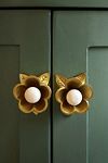 Thumbnail View 1: Nena Flower Knobs, Set of 2