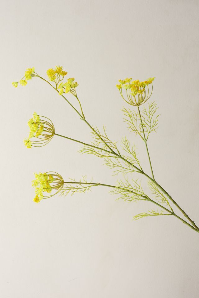 Faux Queen Anne Lace Spray, Yellow Anthropologie