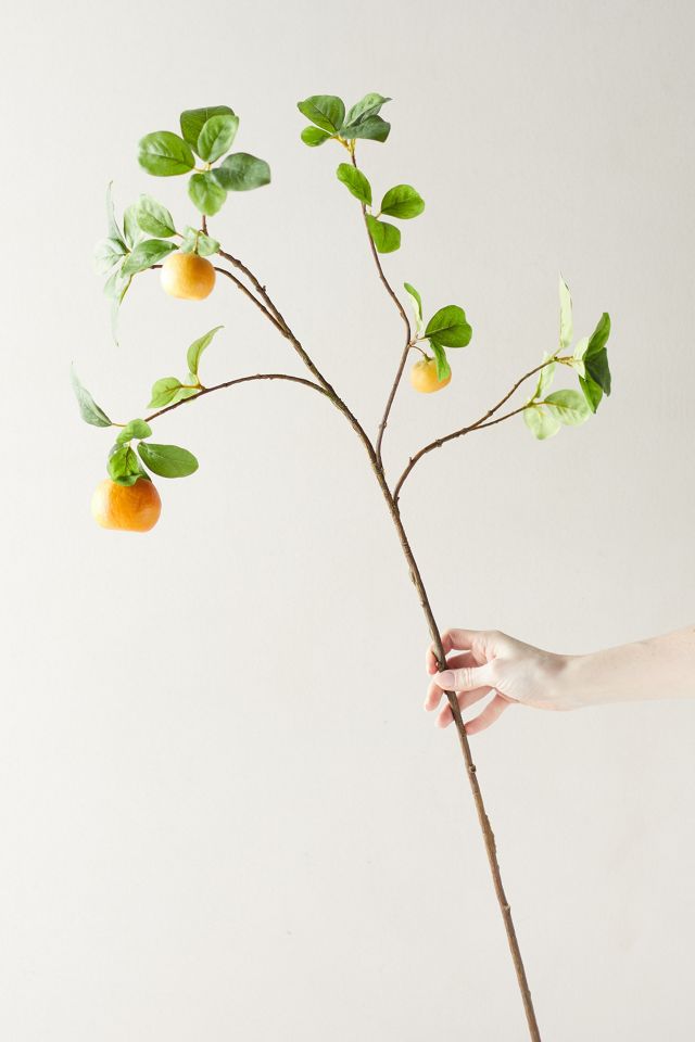 Faux Orange Tree Branch Anthropologie