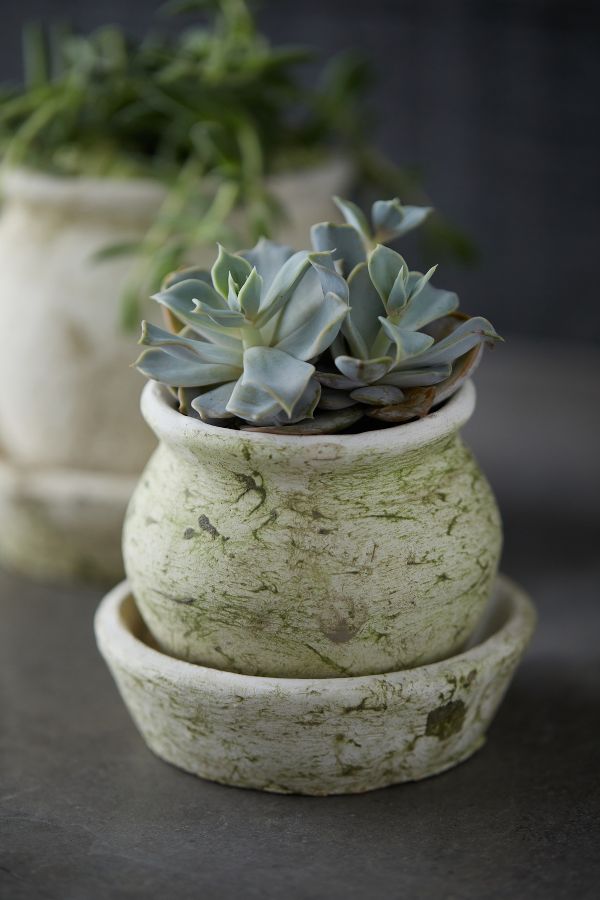 Slide View: 1: Earth Fired Clay White Curve Pots + Saucers, 3 Sizes Set