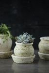 Thumbnail View 2: Earth Fired Clay White Curve Pots + Saucers, 3 Sizes Set