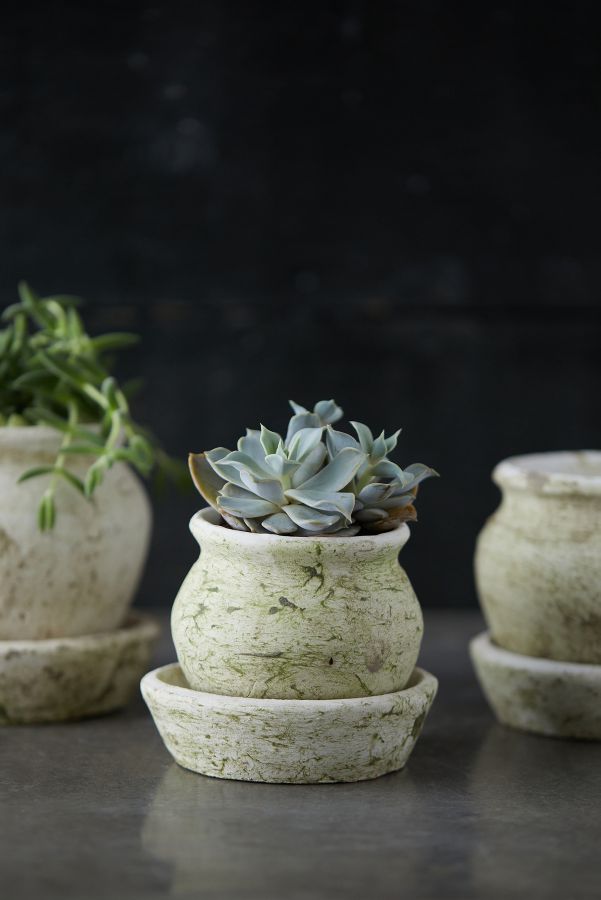 Slide View: 2: Earth Fired Clay White Curve Pots + Saucers, 3 Sizes Set