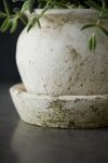 Thumbnail View 3: Earth Fired Clay White Curve Pots + Saucers, 3 Sizes Set