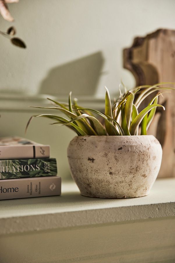 Slide View: 1: Earth Fired Clay White Curve Pots + Saucers, 2 Sizes Set