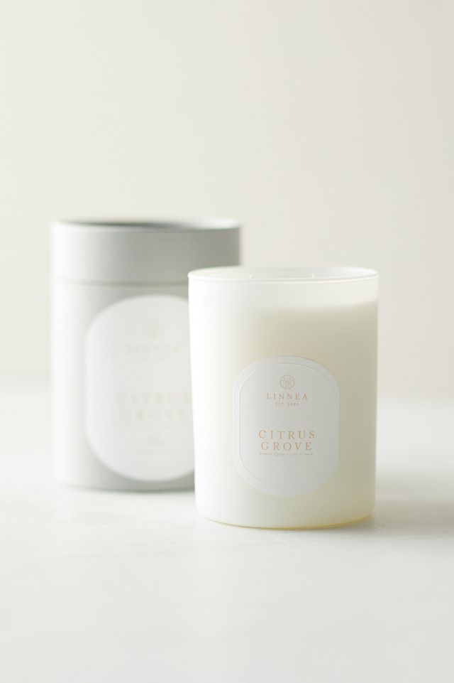 Linnea Candle, Citrus Grove | Anthropologie