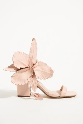 hibiscus sandal cecelia new york