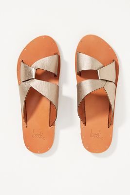 sandal pigeon