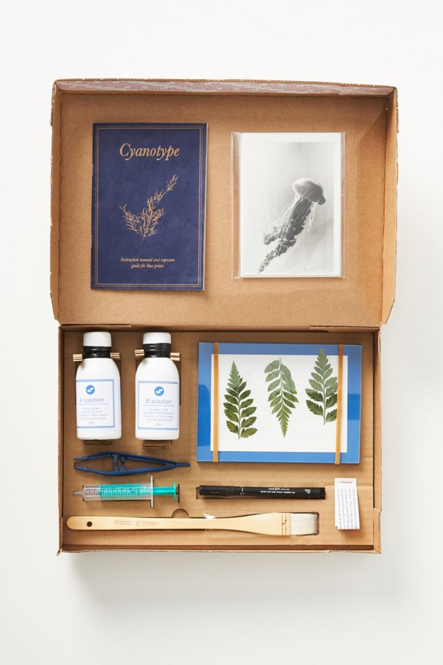 DIY Cyanotype Printing Kit Anthropologie