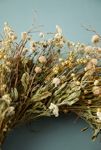 Thumbnail View 2: Preserved Spring Meadow Wreath