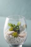 Thumbnail View 3: Rounded Vase Terrarium