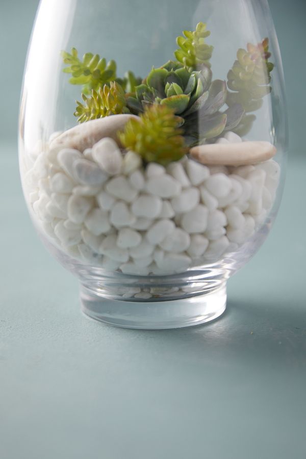 Slide View: 4: Rounded Vase Terrarium