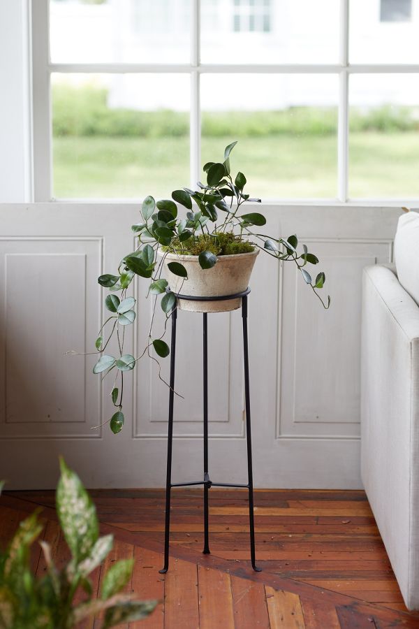 Slide View: 4: Tall Iron Plant Stand