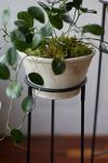 Thumbnail View 5: Tall Iron Plant Stand